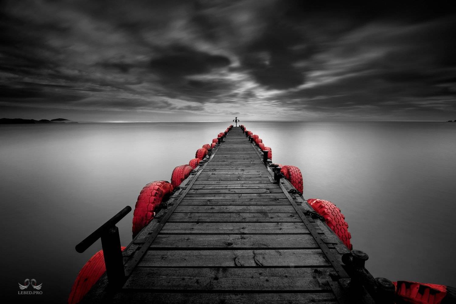 , Виктор Лебедь