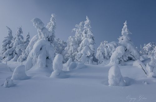 Пенная вечеринка