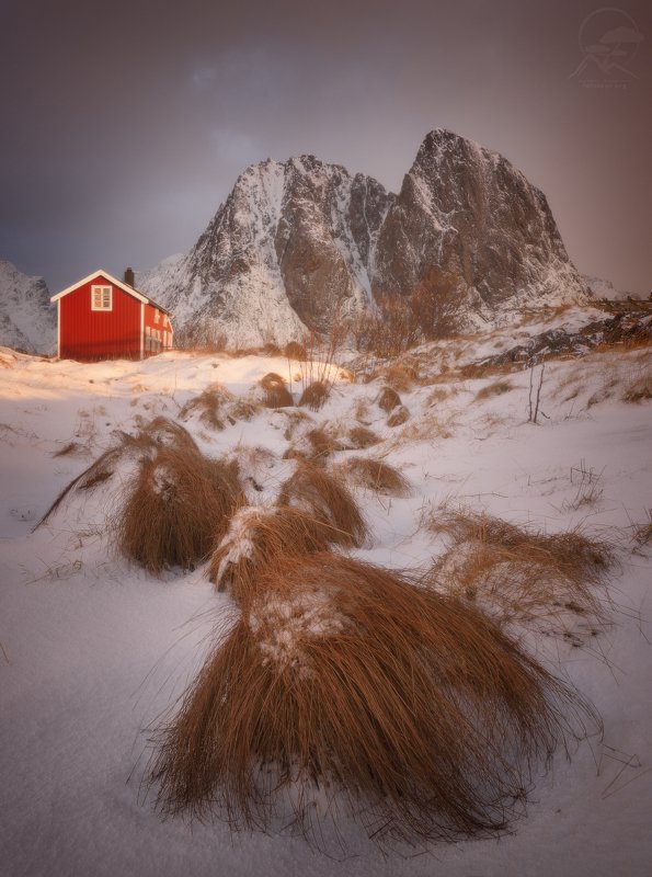 пейзаж, природа, норвегия, лофотены Чубаки атакуют фото превью