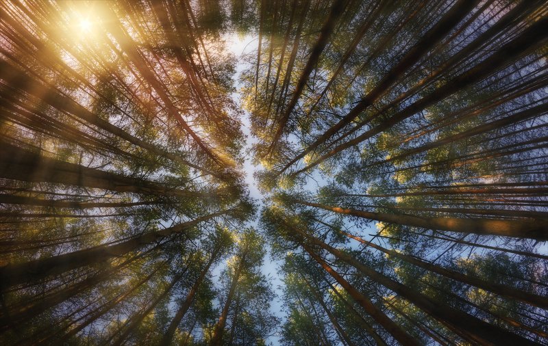 Взгляни на Солнце. фото превью