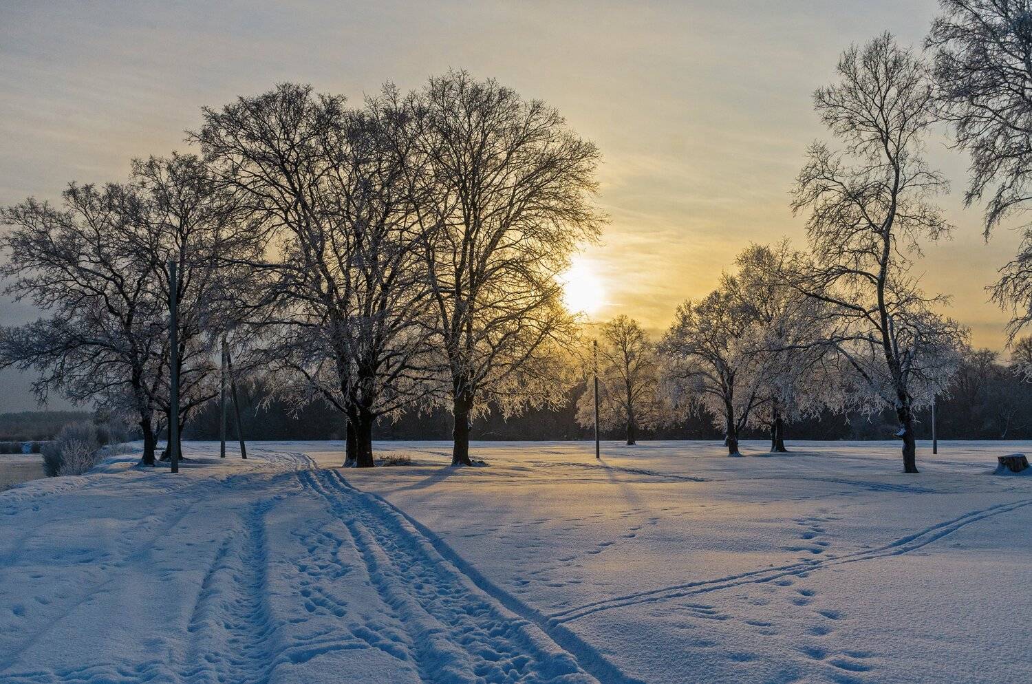 , Александр Березуцкий