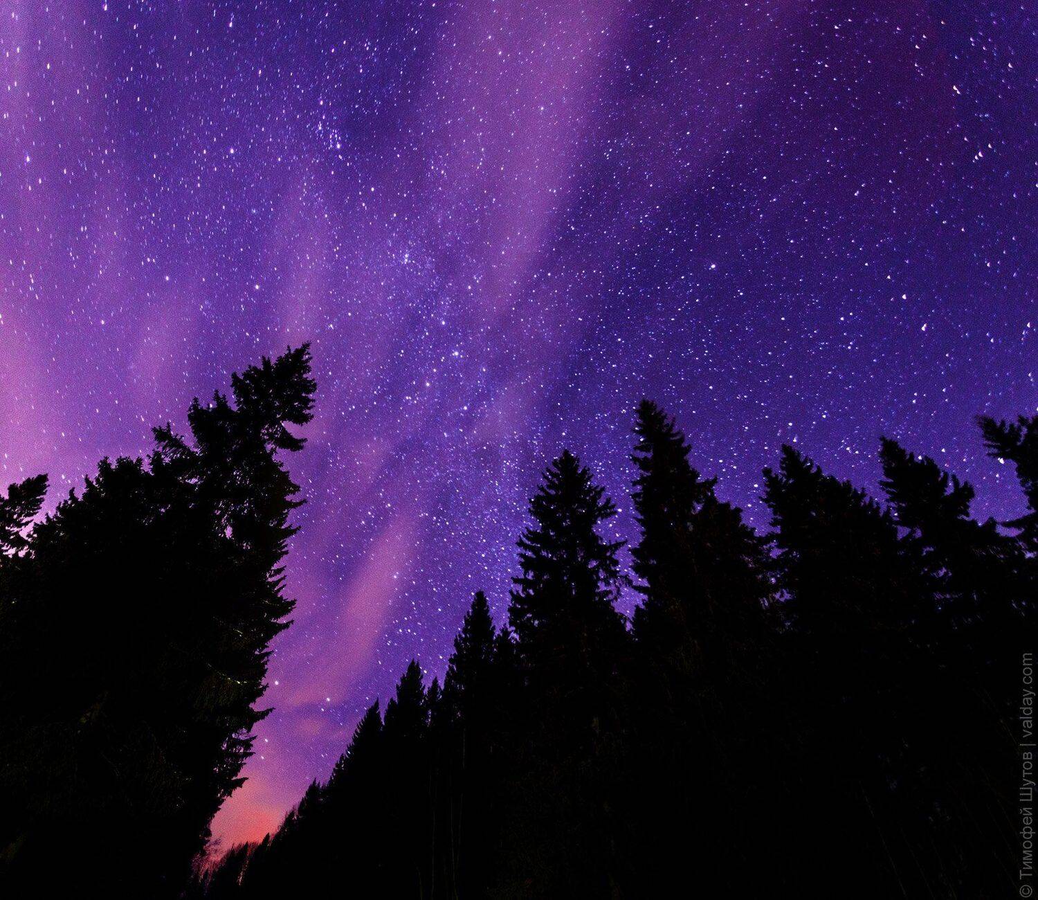 валдай, Тимофей Шутов