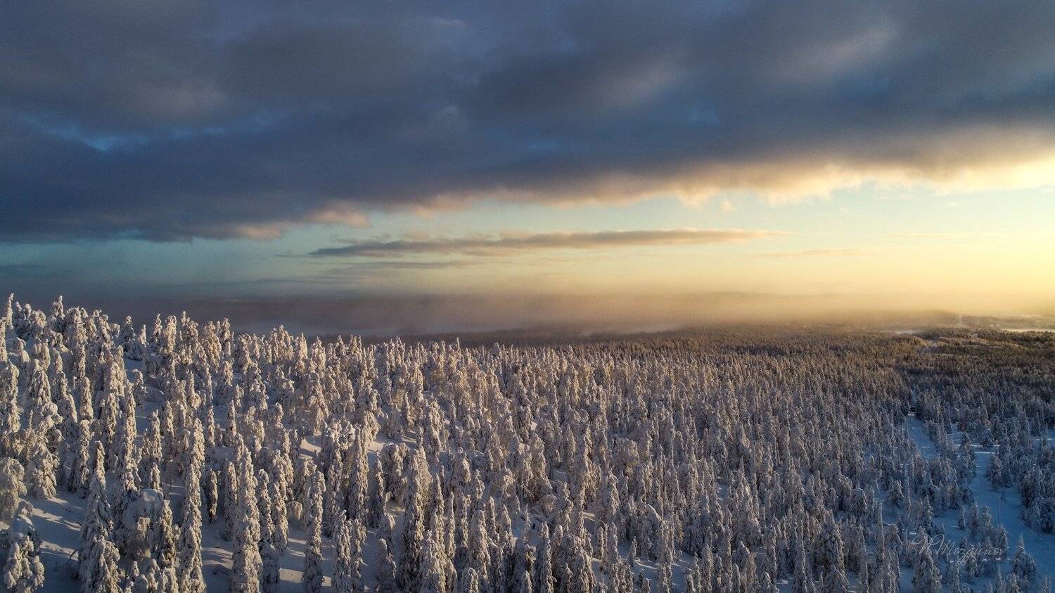 , Николай Мозгунов