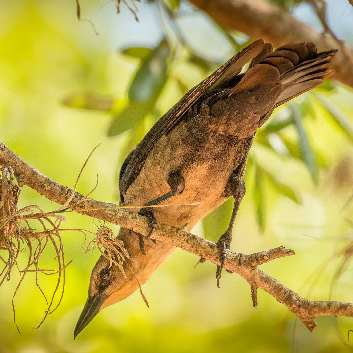 , Илья Данилов