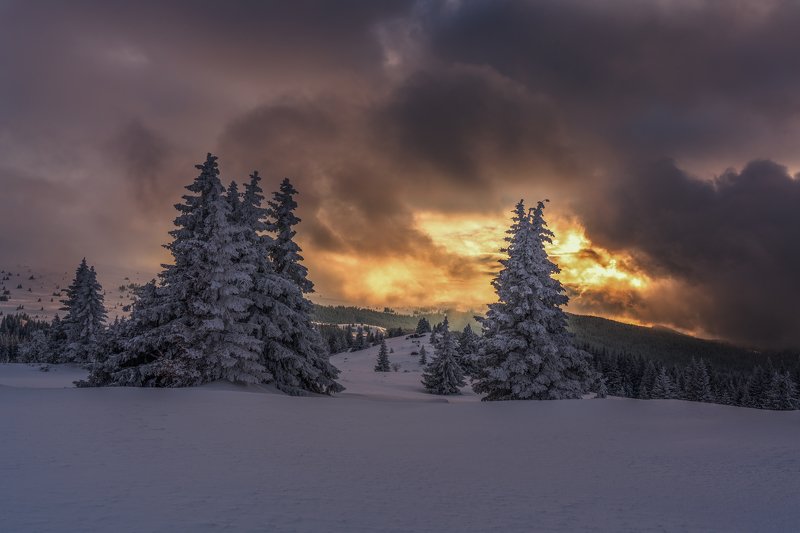 Vitosha... фото превью