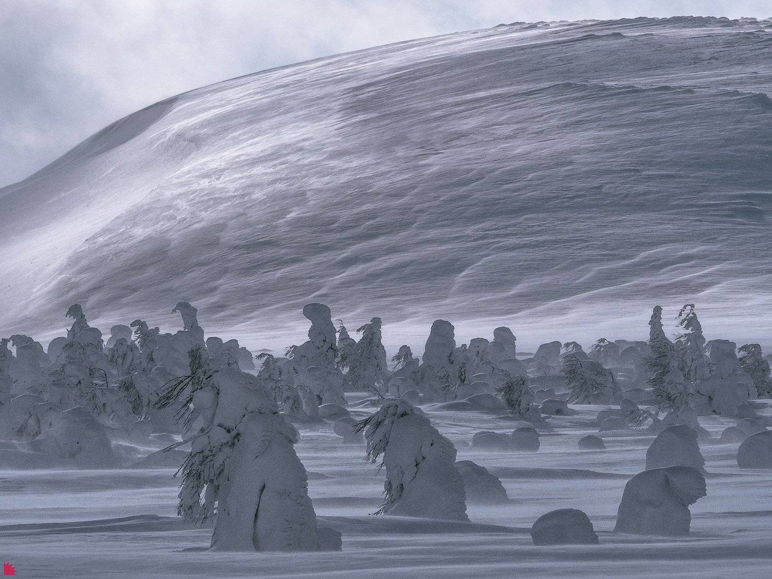 , Осипов Ёжъ Александр