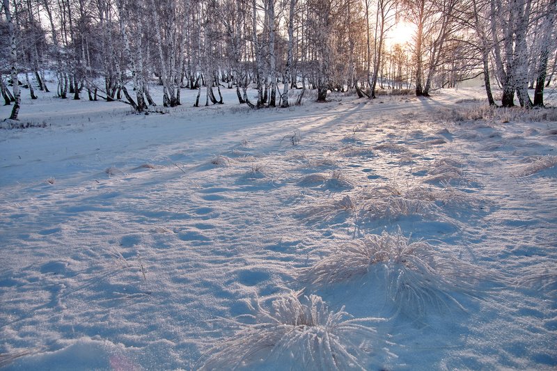 южный урал,оренбургская область, орск, новотроицк,башкирия, башкиртостан Зимние паучки фото превью