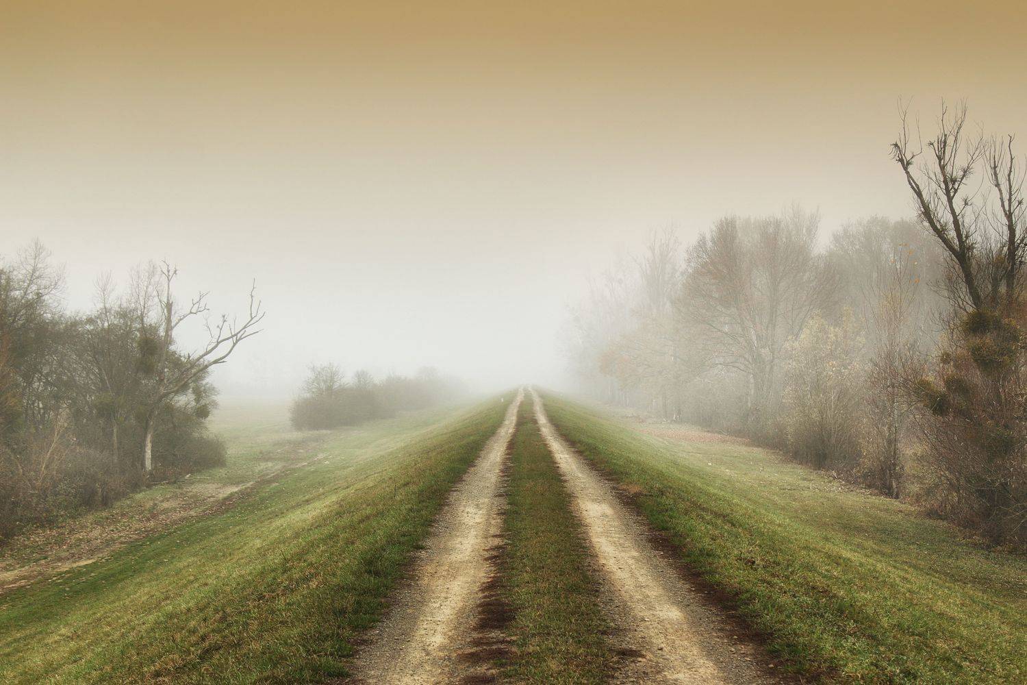 landscape, slovakia, mycountry, roads, fog, photography, Adrian Eperjessy