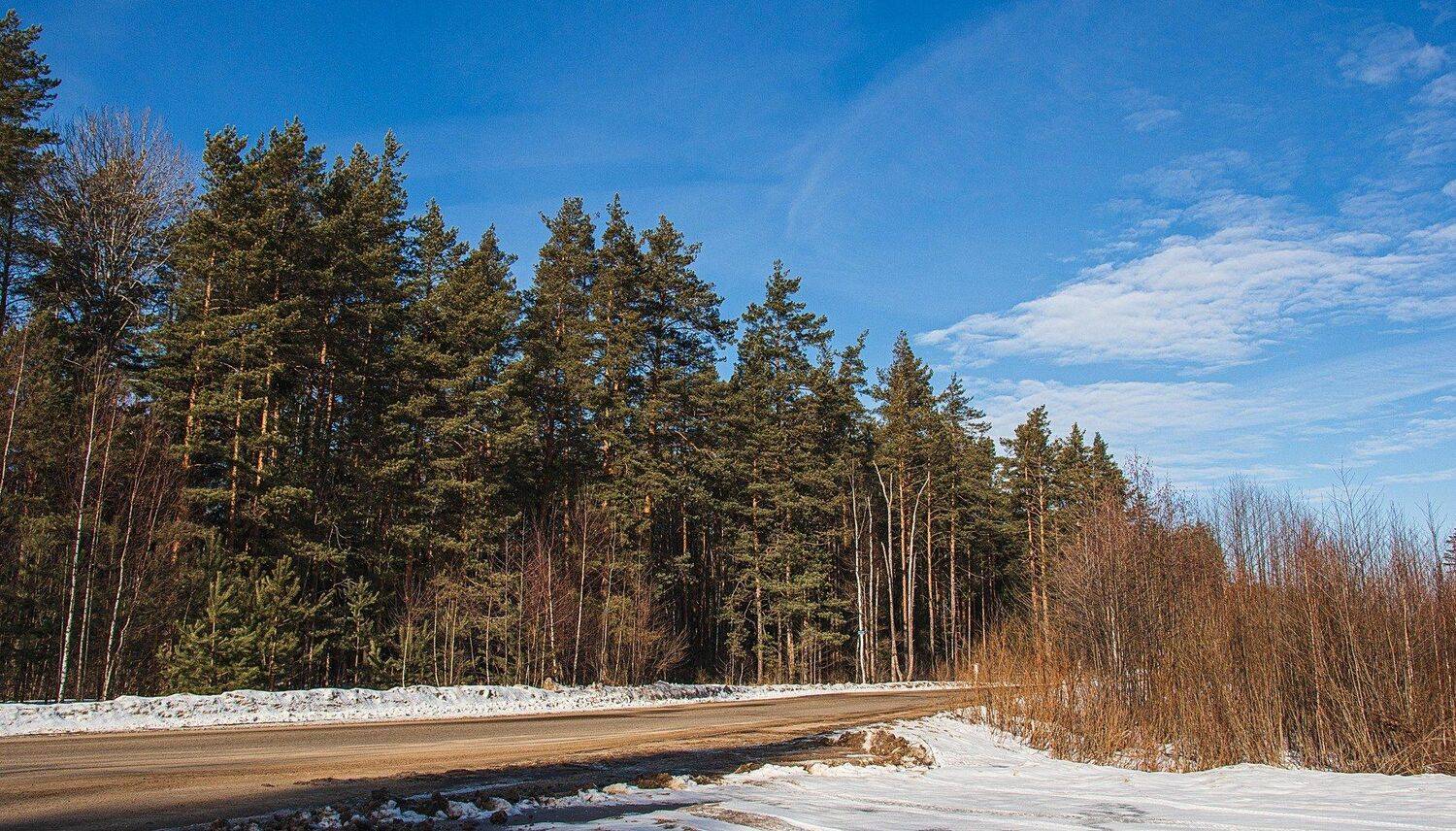 пейзаж, кулебаки, landscape, winter, зима, деревья, снег, snow, день, day, солнце, sun, Владимир Васильев