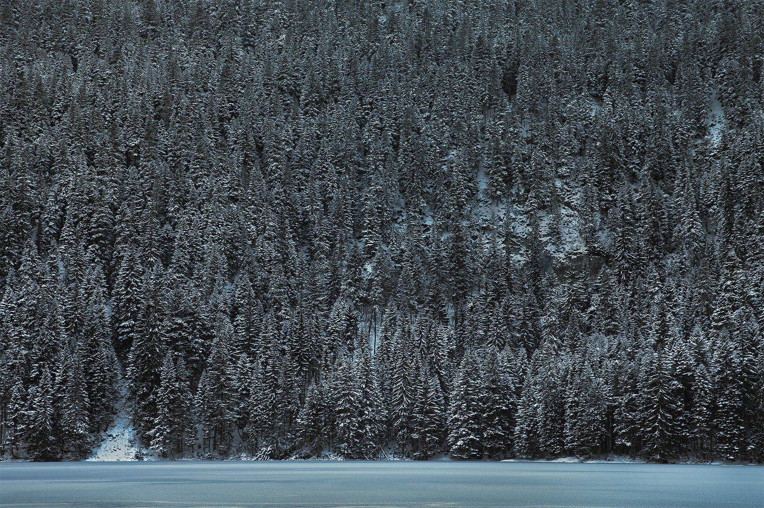 черногория, природа, путешествие, пейзаж, Анастасия Колесникова