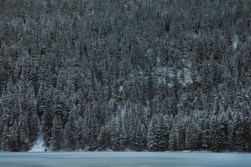 черногория, природа, путешествие, пейзаж Зима в Дурмиторе фото превью