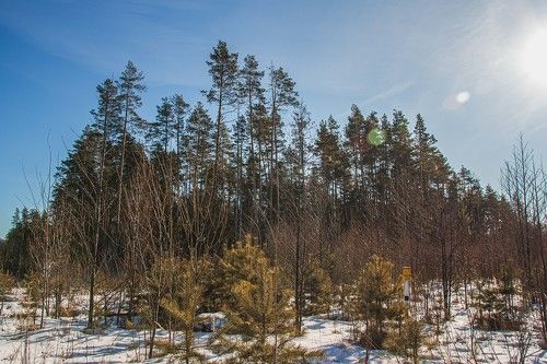 В окрестностях гог. Кулебаки...