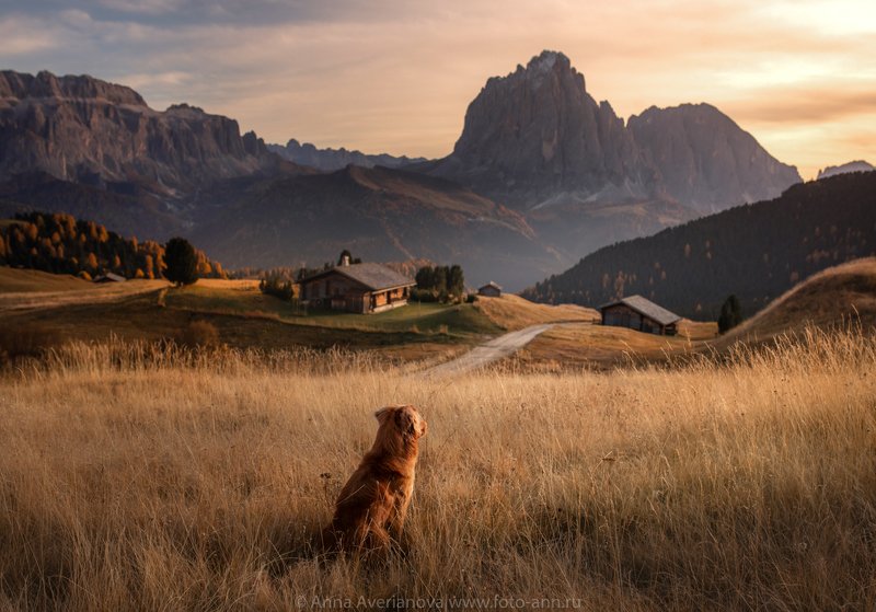 в долине фото превью