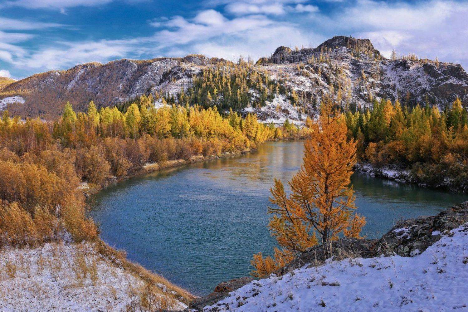 алтай, горный алтай, горы, сибирь, курай, Галина Хвостенко