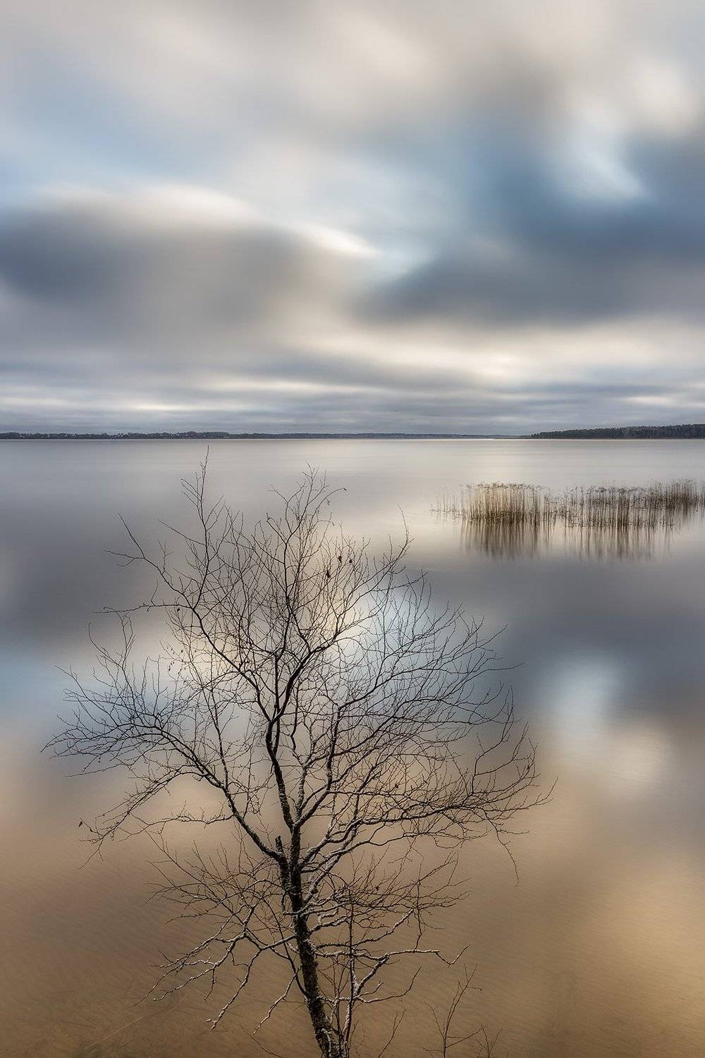 , Федотов Антон