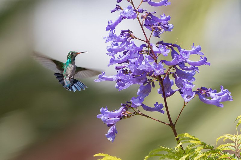 Виражи фото превью