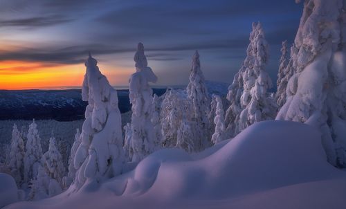 Не отпускает...