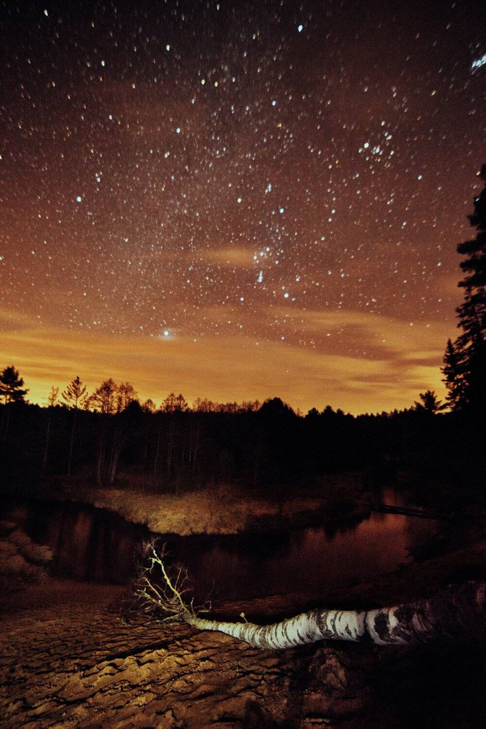 , Александр Фанковин