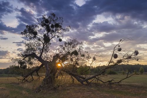 На рассвете