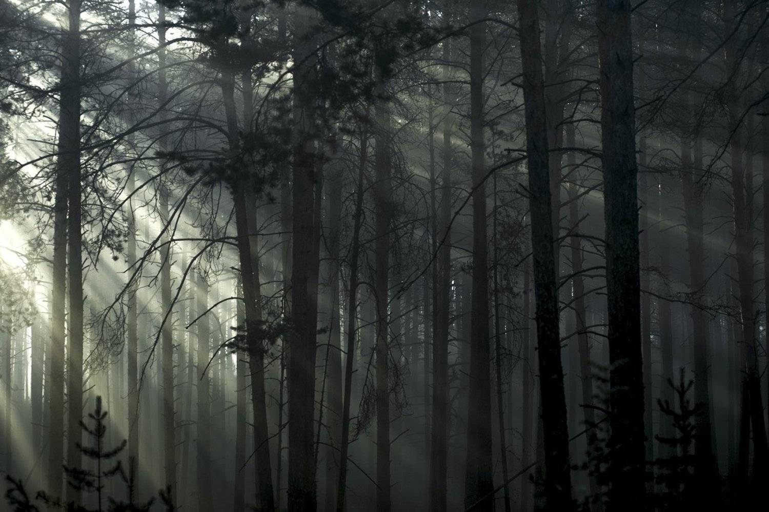 , Альбина Хакимова