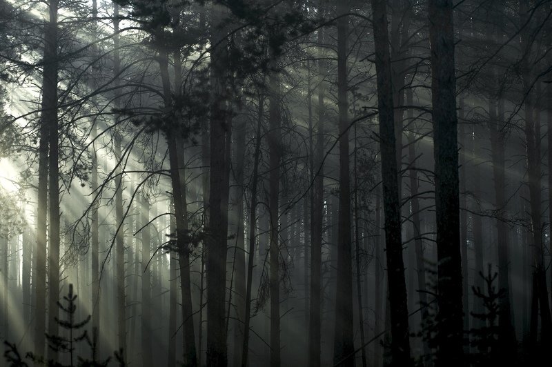 ... фото превью