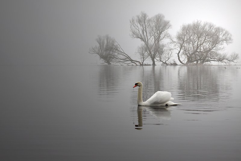 ... фото превью