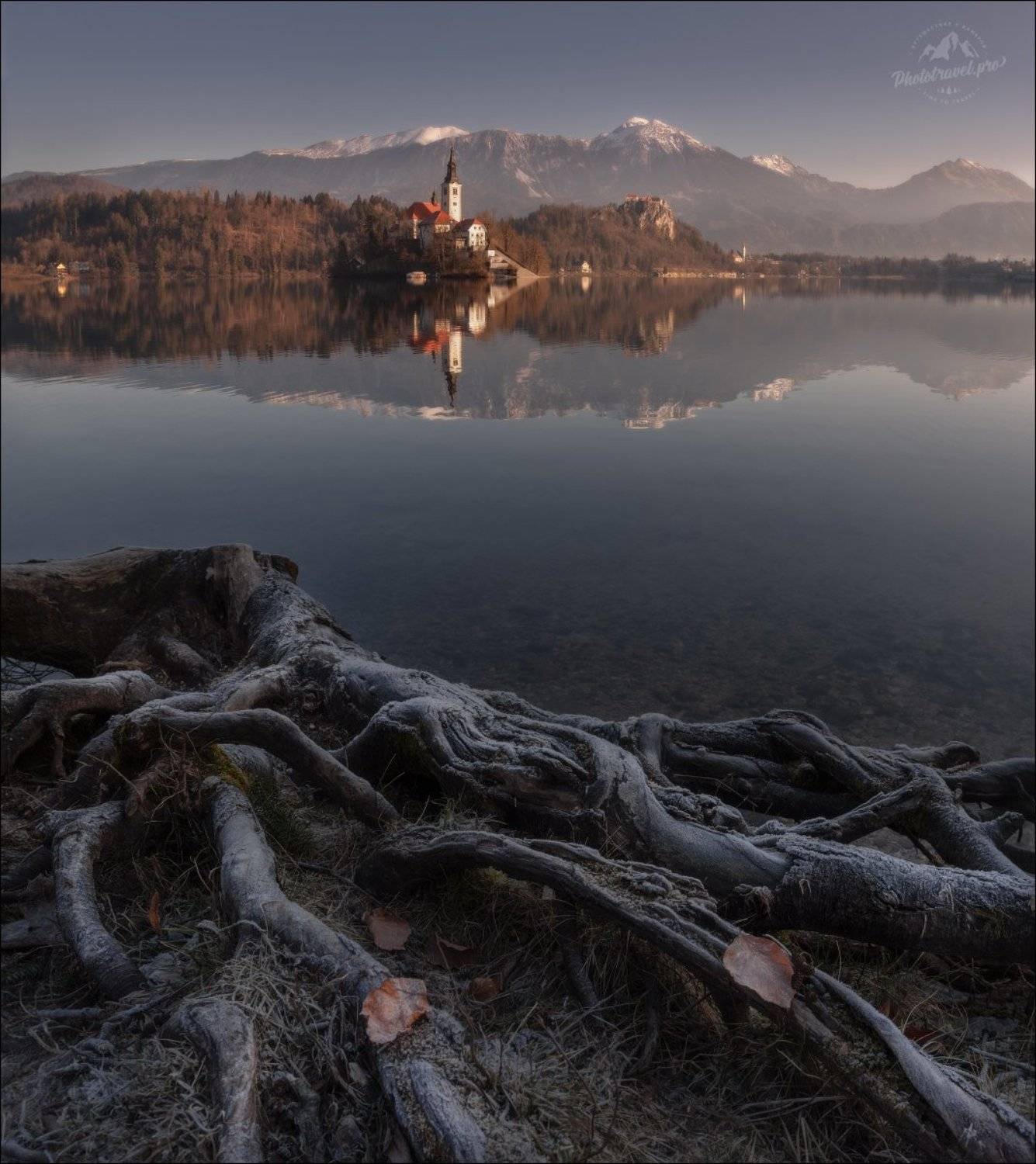 словения, блед, lake bled, slovenia, корни, roots, Влад Соколовский