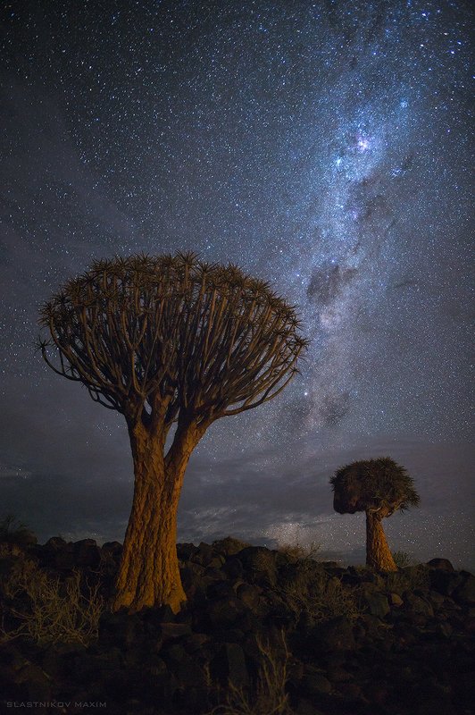 Намибия фото превью