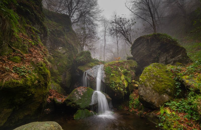 Сон фото превью