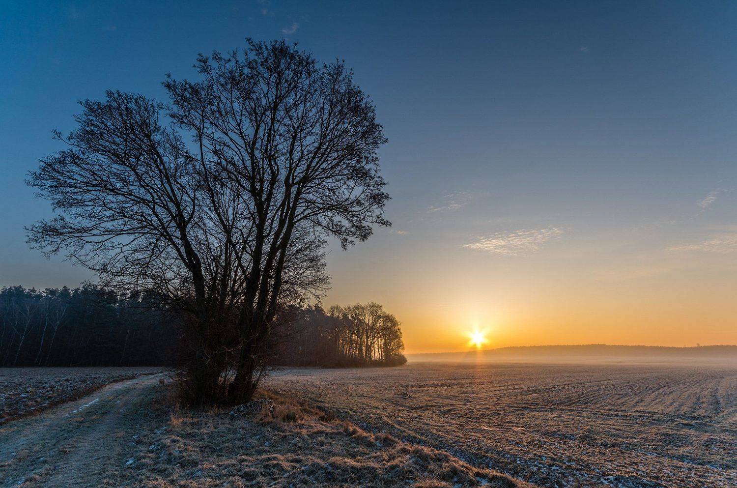 , Maciej Werbliński