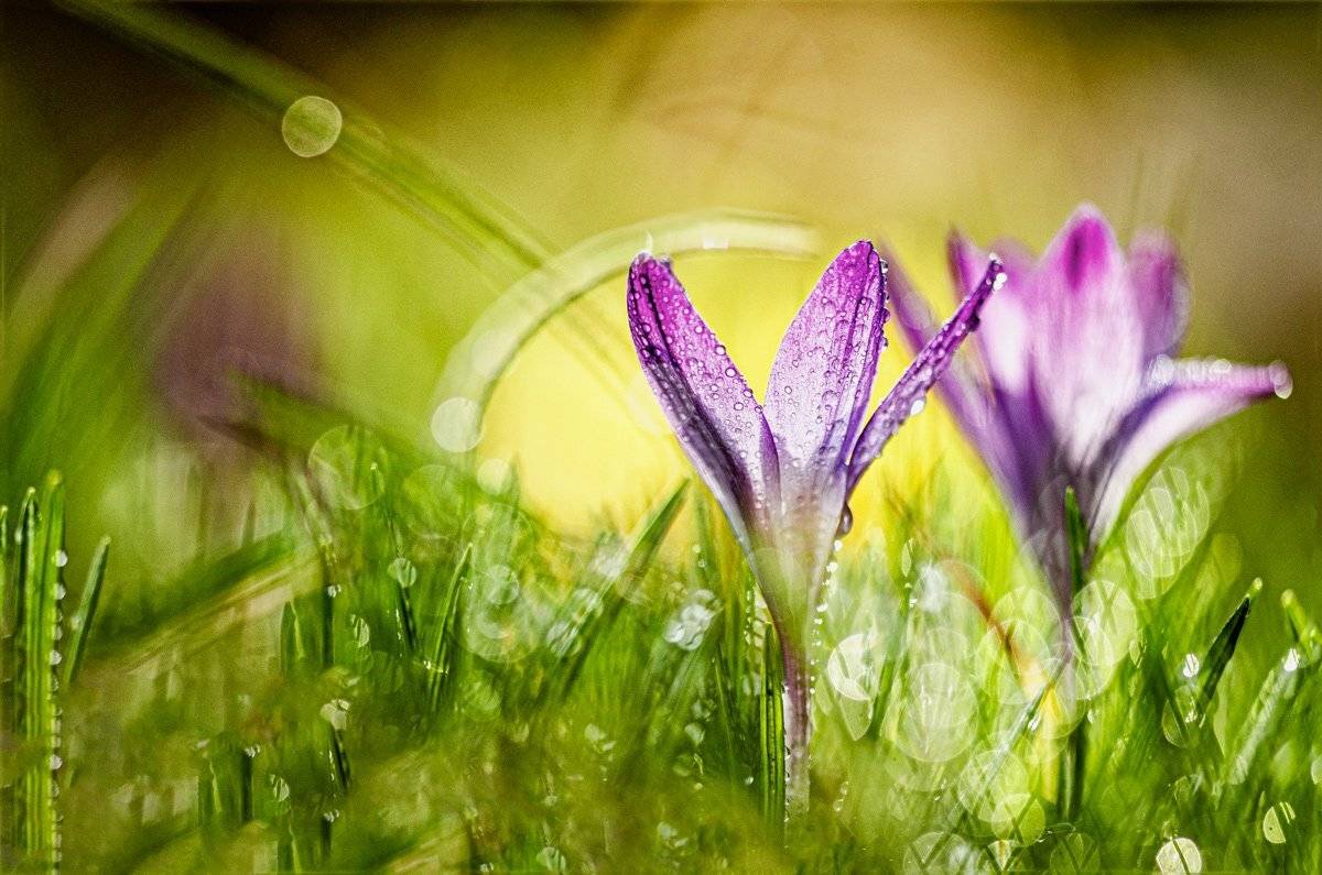 , Татьяна Аверина