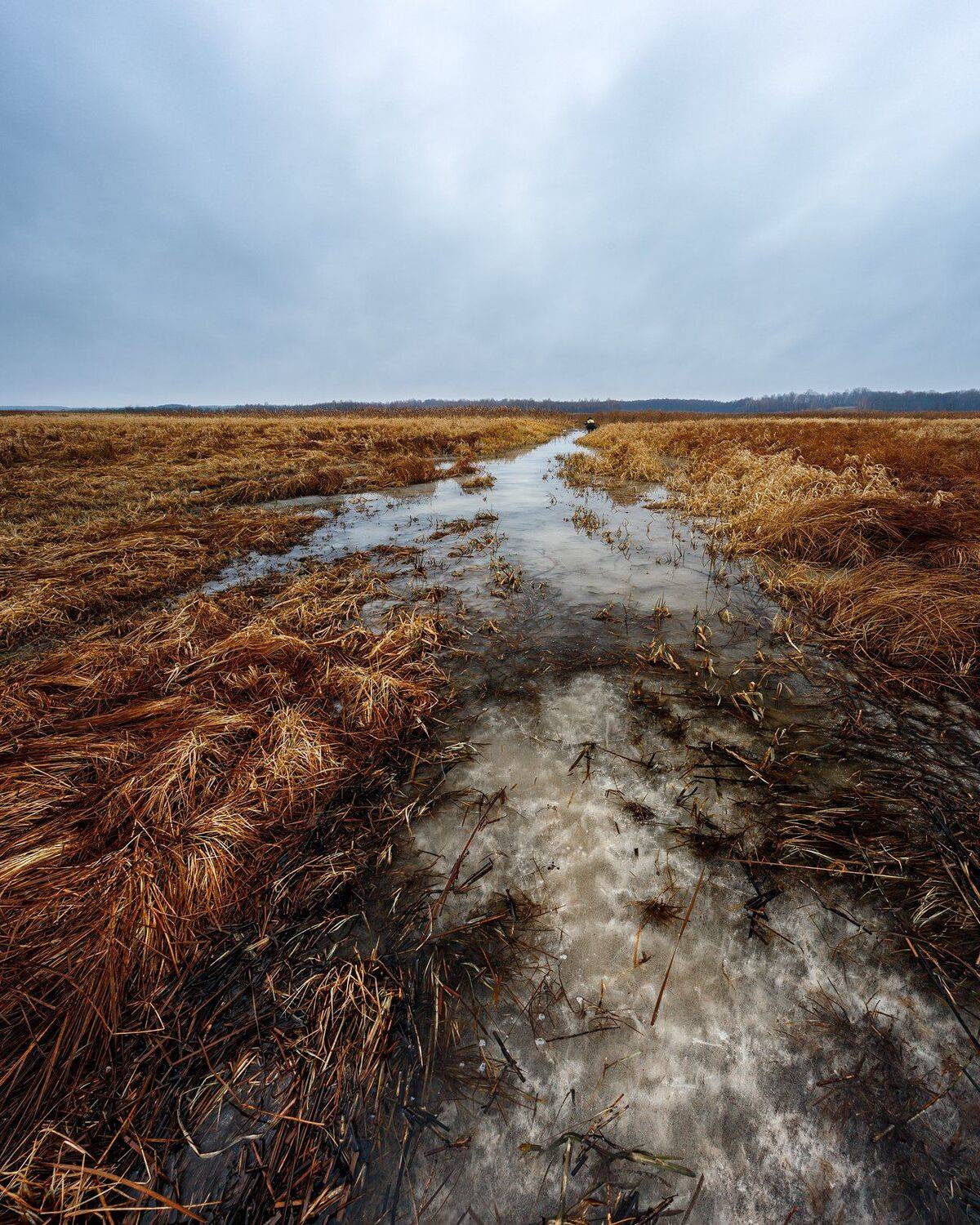 пейзаж, Сергей Сергеев