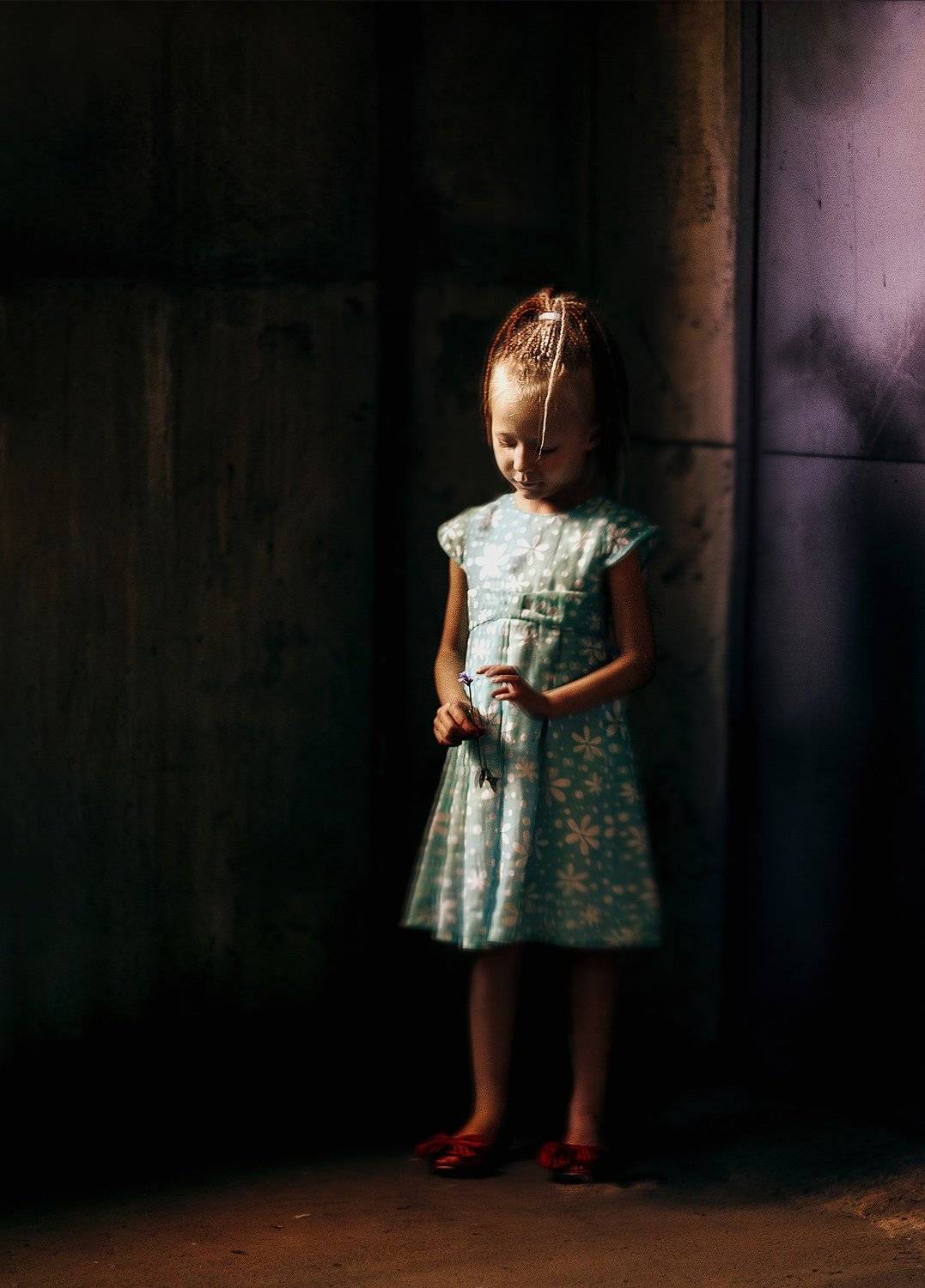 , Максим Царь