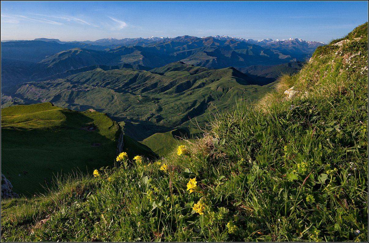 дагестан, горы, цветы, АНАТОЛИЙ ДОВЫДЕНКО