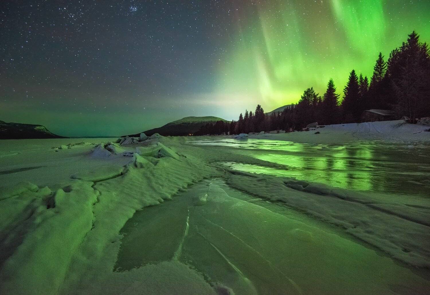 кольский, Андрей Грачев