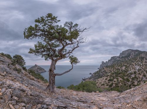 Мёртвый сезон. Крым Новый свет