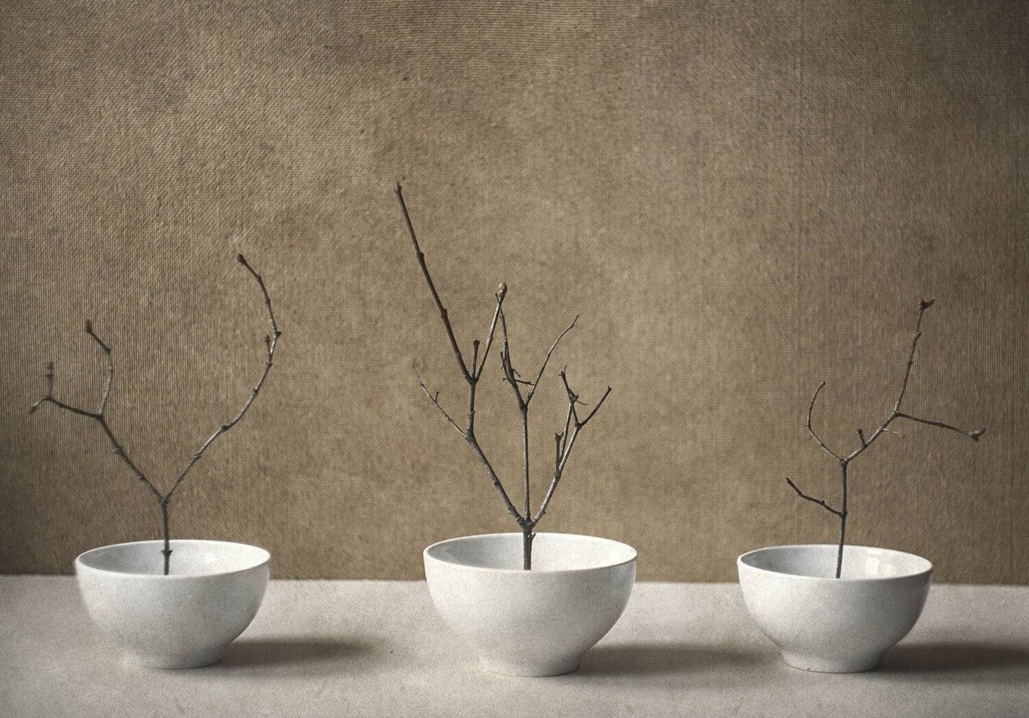 натюрморт, минимализм, Ольга Алексейчик