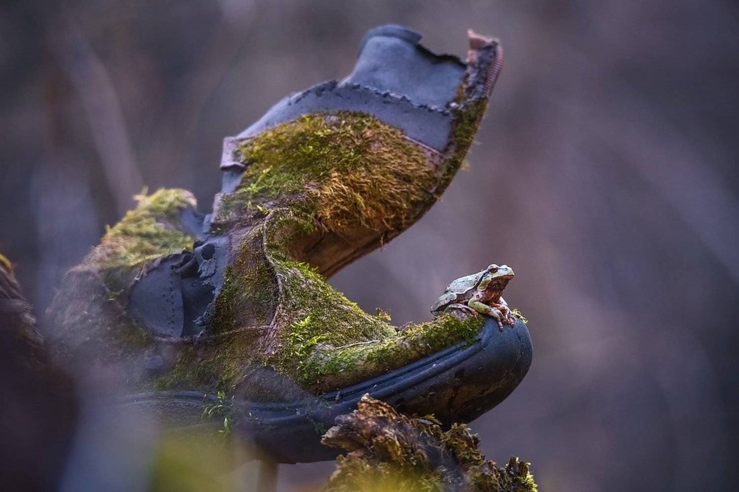 , Вячеслав Мищенко