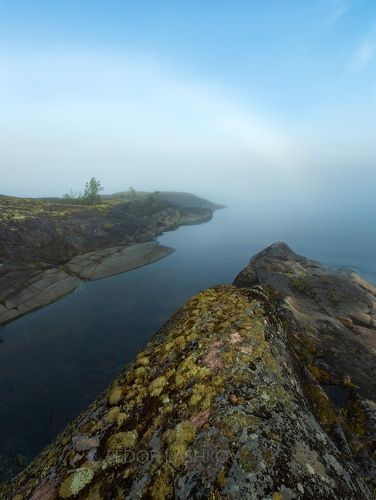 Синева лета