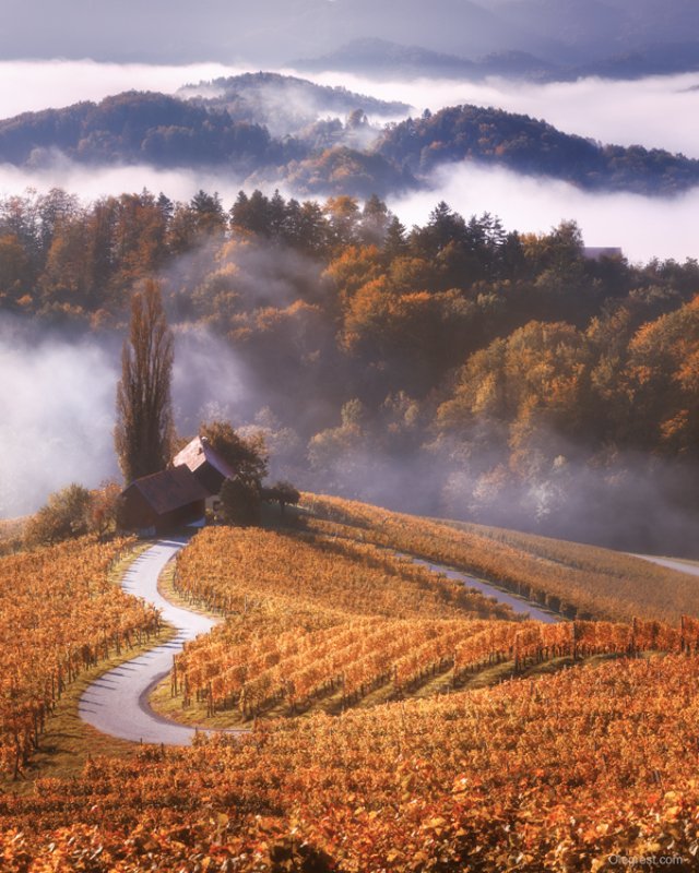 Сердце Словении фото превью