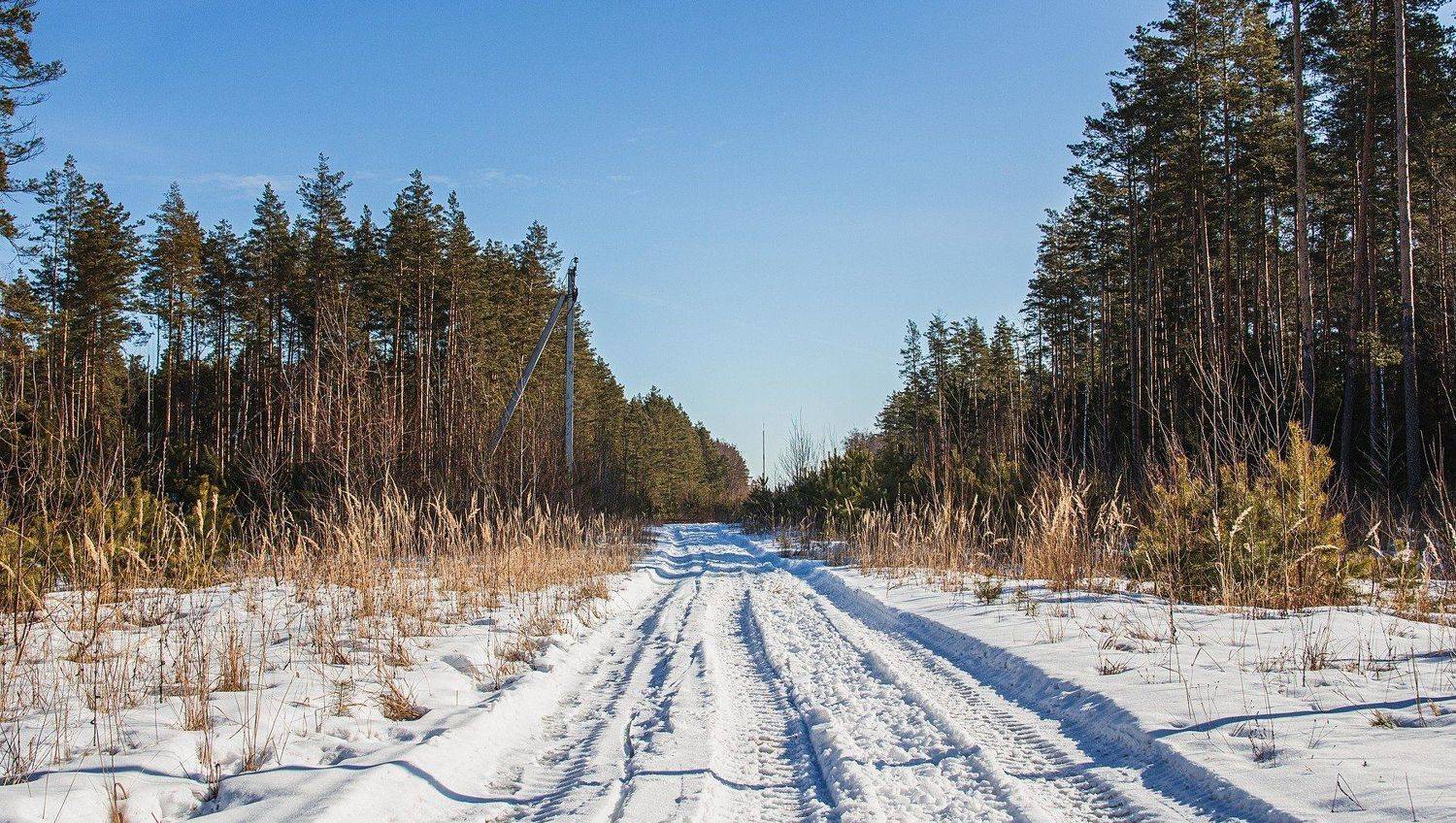 пейзаж, кулебаки, landscape, winter, зима, деревья, снег, snow, день, day, солнце, sun, Владимир Васильев