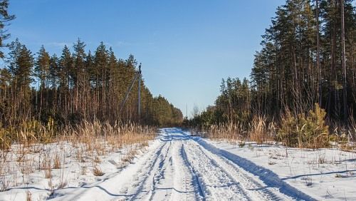 В окрестностях гог. Кулебаки...