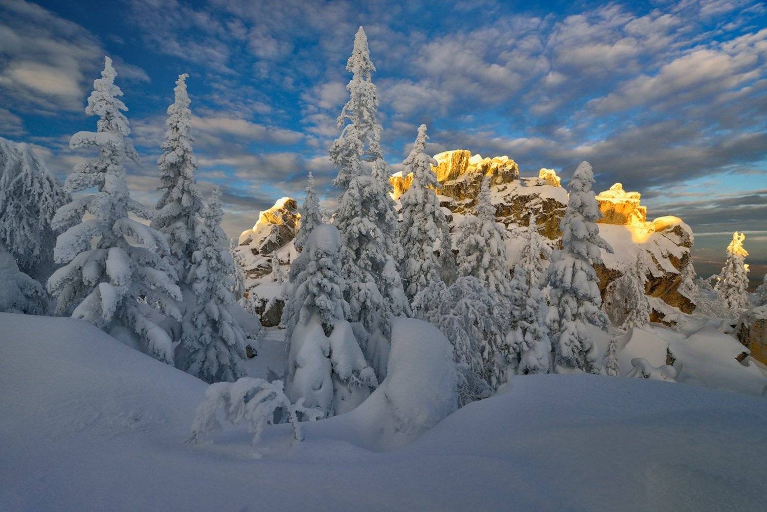 , Клековкин Алексей