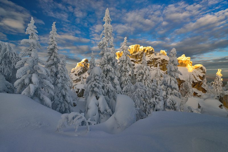 фото превью