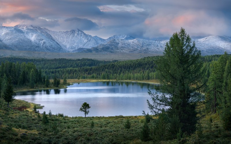 алтай, горный алтай, август, горы, улаганское плоскогорье, улаганский перевал, курайский хребет, горное озеро, киделю, таежный лес, улаганский район, кыскыштубек, altai mountains Тревожный рассвет на Киделю фото превью