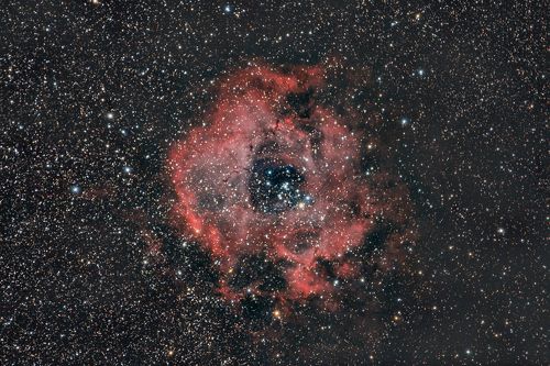 Rosette nebula - NGC2237