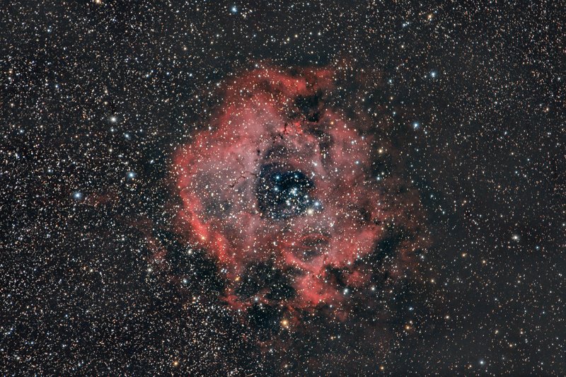 astrophotography Rosette nebula - NGC2237 фото превью