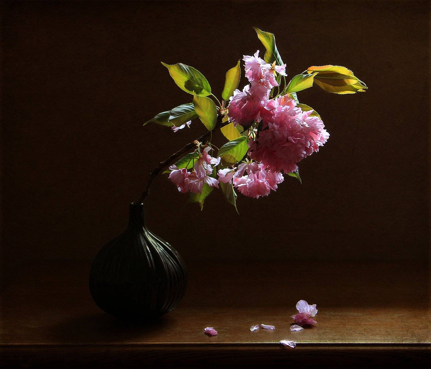 натюрморт, Рита Гончаренко