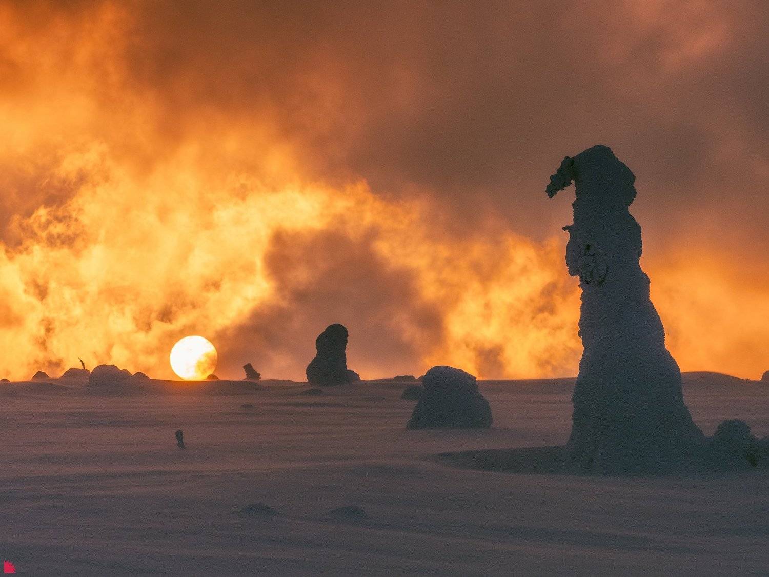 , Осипов Ёжъ Александр