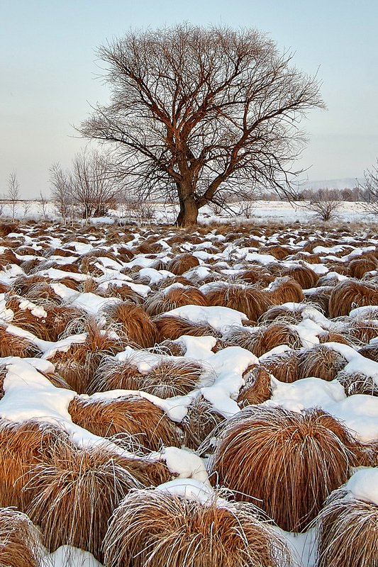южный урал,оренбургская область, орск, новотроицк,башкирия, башкиртостан Головы Воинов, Чингиз - Хана фото превью